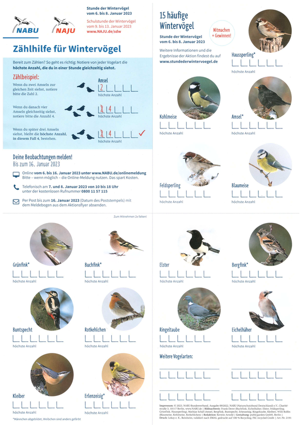 Stunde Der Wintervögel – NABU WERTHEIM